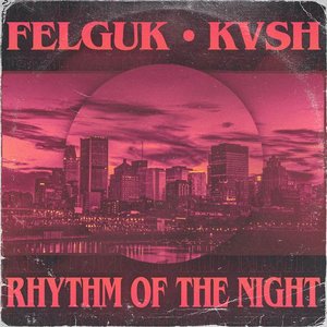 Image for 'Rhythm of the Night'