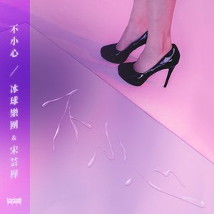 “不小心”的封面