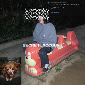“SECRET ACCOUNT”的封面