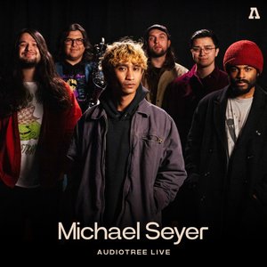 Immagine per 'Michael Seyer on Audiotree Live'