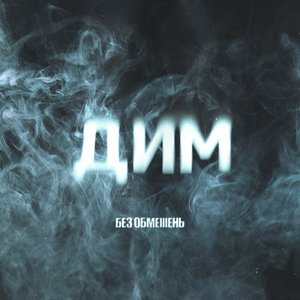 “ДИМ”的封面