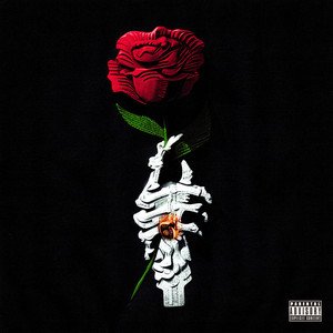 Image for 'Roses'