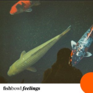 Image for 'Fishbowl Feelings'