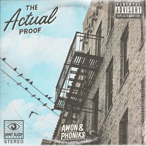 Image for 'The Actual Proof'