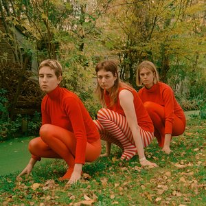 “The Earwurms”的封面