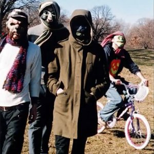 Image for 'Animal Collective'