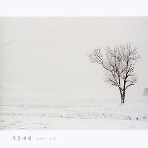 Image for '보옴이 오면'