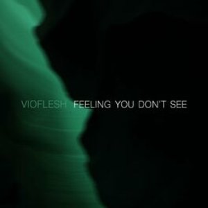Image for 'Feeling You Don't See'