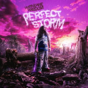 Image for 'Perfect Storm'