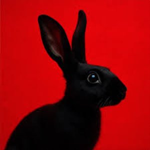 Immagine per 'RABBIT'