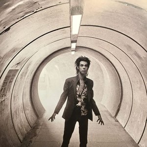 'Nick Cave & the Bad Seeds'の画像