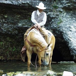 “Michael Martin Murphey”的封面