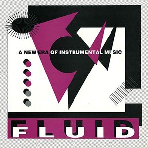 Image for 'Fluid - A New Era Of Instrumental Music'