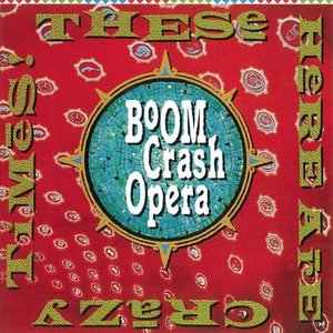Image for 'These Here Are Crazy Times'