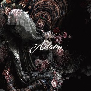 Image for 'Adam'
