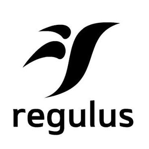 Image for 'Regulus'