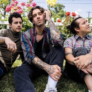 Bild für 'American Authors'