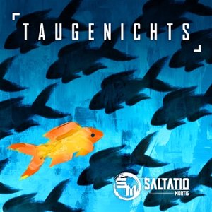 “Taugenichts”的封面
