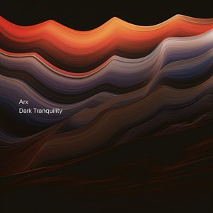 Image for 'Dark Tranquility (Black Noise)'