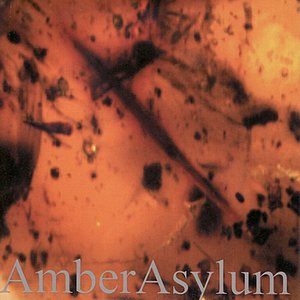 Image for 'Frozen in Amber'