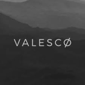 “Valesco”的封面