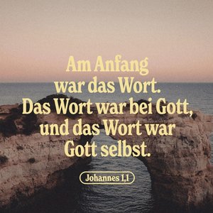 Изображение для 'Die komplette Neues Leben Bibel'