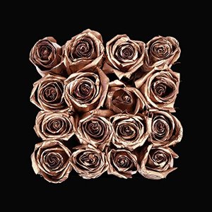 Image for 'Rose Gold'