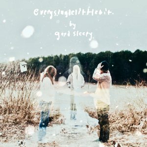 “Everysinglelittlebit”的封面