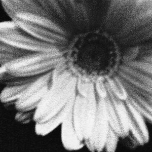 Image for '翳'