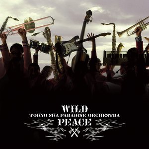 “WILD PEACE”的封面