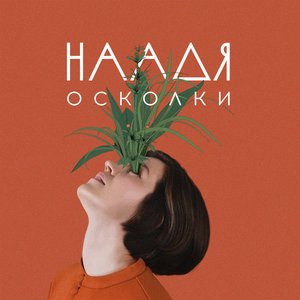 “Осколки”的封面