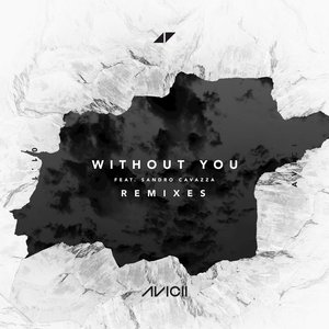 Image for 'Without You (Remixes)'