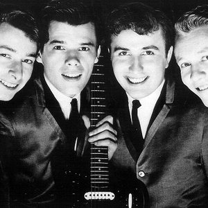 Изображение для 'The Trashmen'