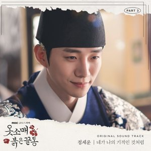 Immagine per 'The Red Sleeve OST Part.3'