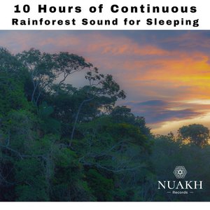 Zdjęcia dla '10 Hours of Continuous Rainforest Sound for Sleeping'