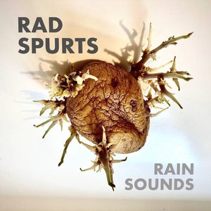 Immagine per 'Rain Sounds'