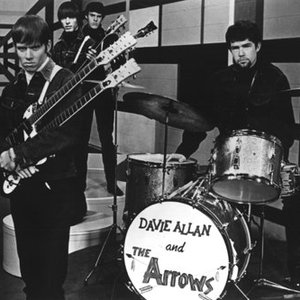 Image for 'Davie Allan & The Arrows'