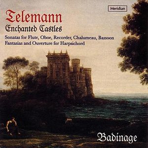 Bild för 'Enchanted Castles: Sonatas For Flute,Oboe,Recorder,Chalumeau,Bassoon'