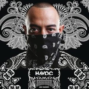 “Havoc”的封面