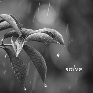 Image for 'Salve'