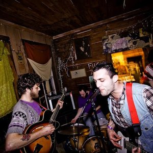 Image for 'Animal City'