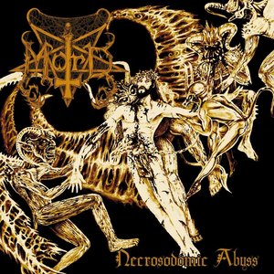 “Necrosodomic Abyss”的封面