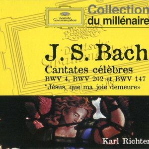 “Bach: Cantatas #147-202”的封面