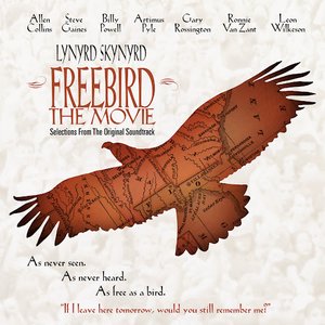 Bild für 'Freebird The Movie (Original Motion Picture Soundtrack/Reissue)'