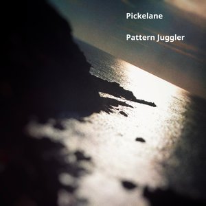 Image for 'Pickelane'