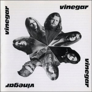 Image for 'Vinegar'