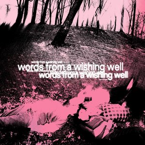 “words from a wishing well (Deluxe Edition)”的封面