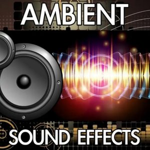 “Ambient Sound Effects”的封面