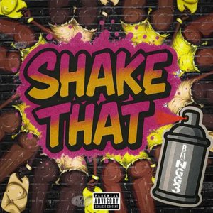 Image for 'Shake That'