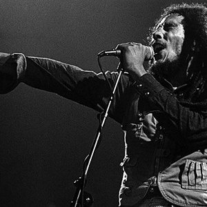 “Bob Marley”的封面